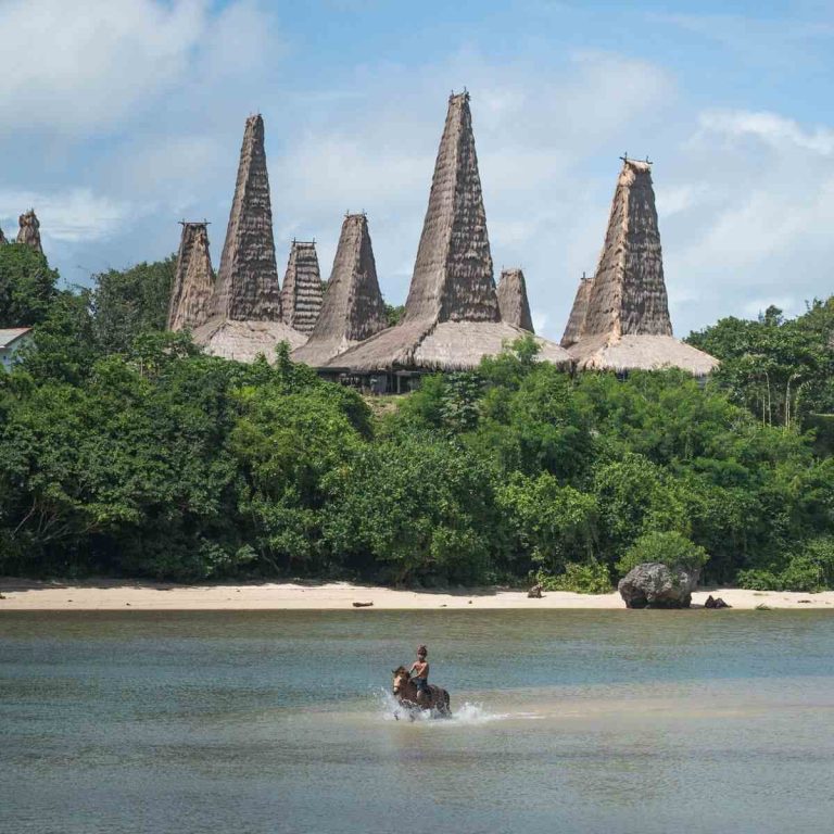 Ratenggaro traditional village with tall thatched roofs, Sumba