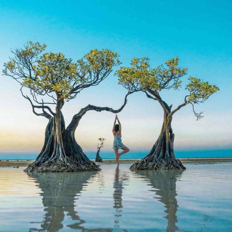 Walakiri Beach dancing mangrove trees at sunset, East Sumba