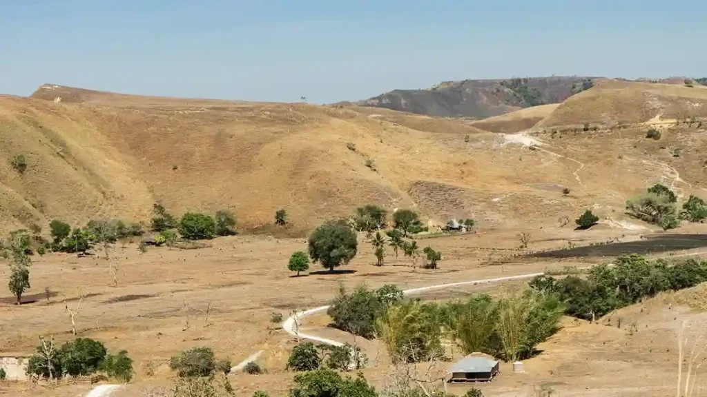 Open savanna of Puru Kambera in East Sumba