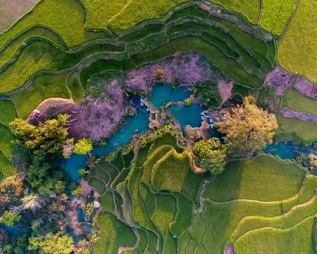 Aerial view of Waikacura waterfall pools surrounded by green terraces