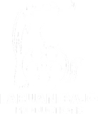 Labuan Bajo Productions