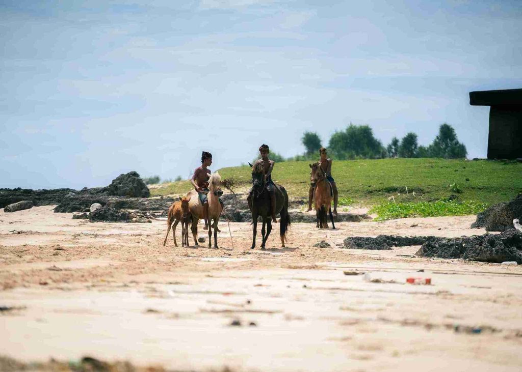 Sumba horses and riders on Pero Beach in Kodi
