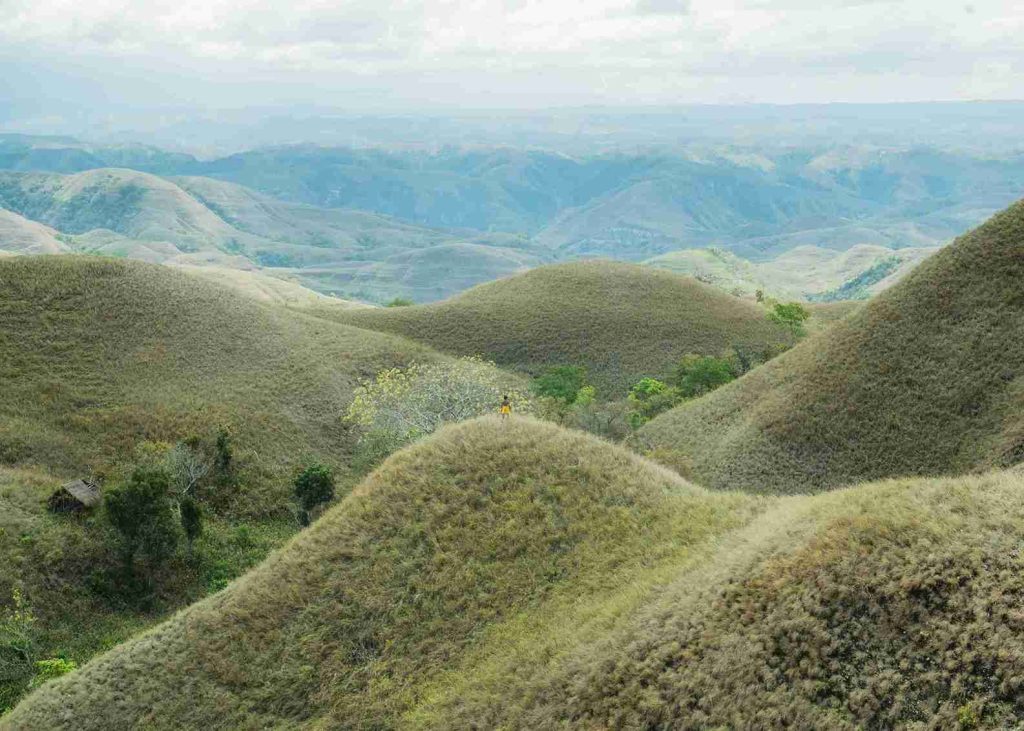 Rolling Wairinding Hills in East Sumba
