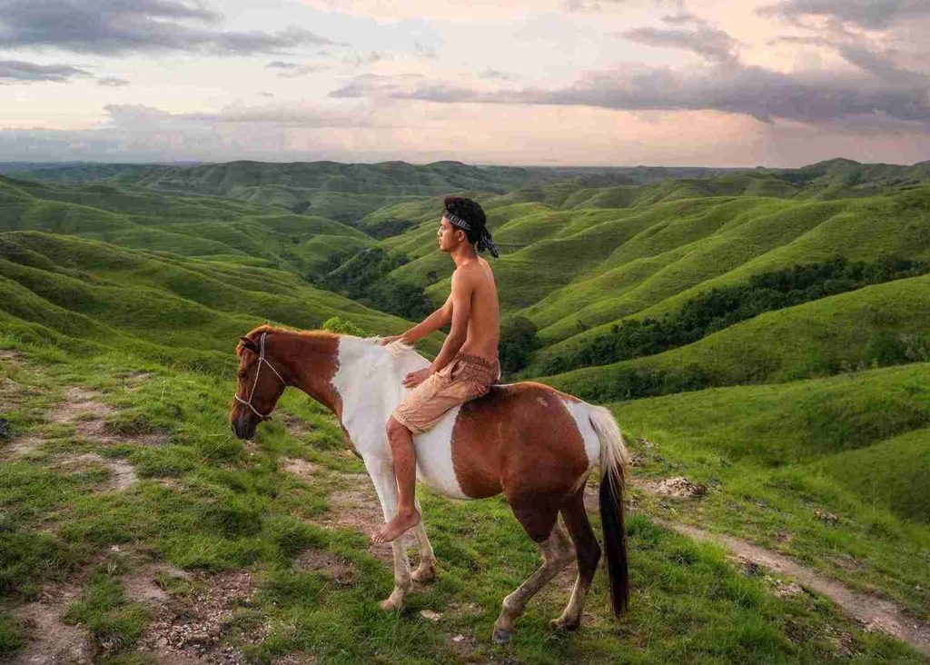 Rider on a Sumba horse crossing Wairinding Hills
